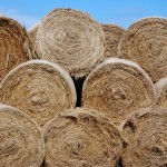 hay-1433186_1920