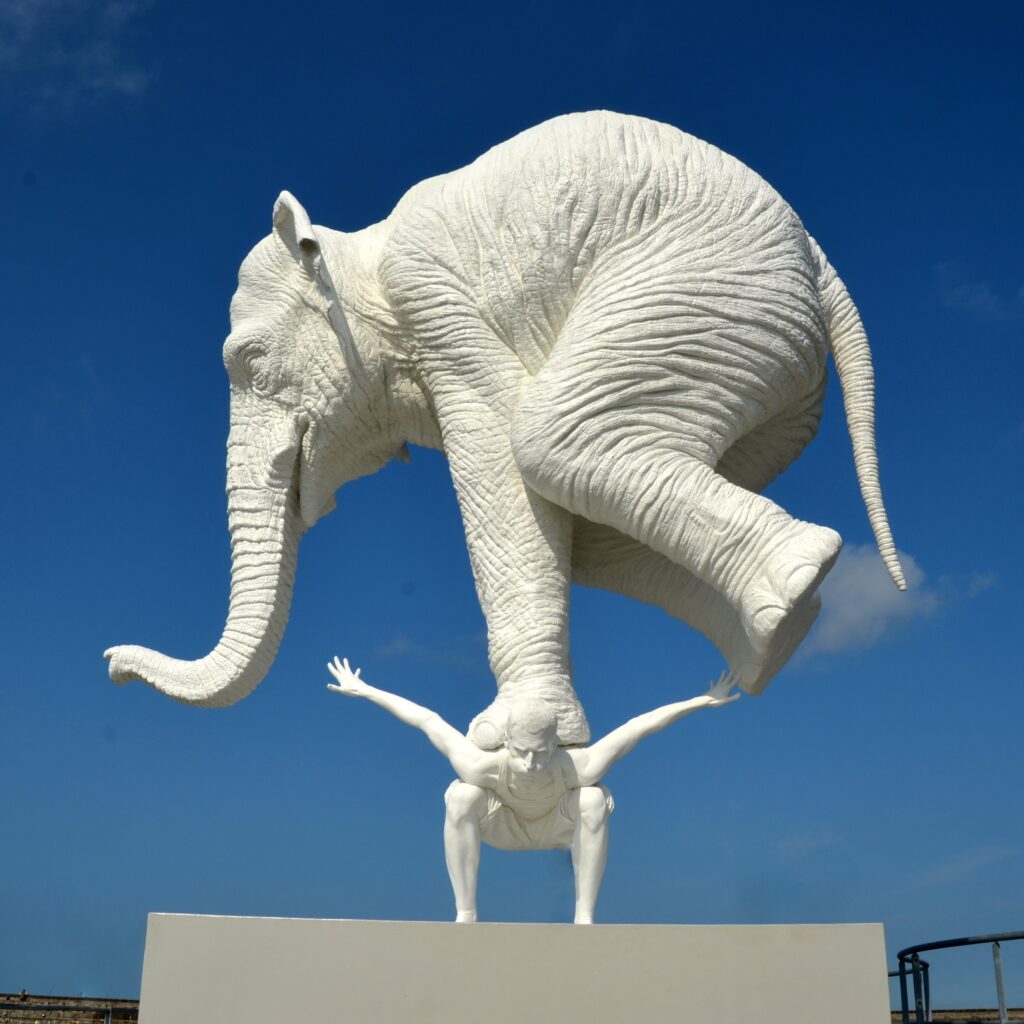 bernhard_staerck-elephant-3891845